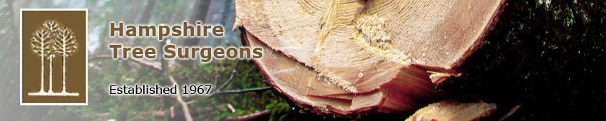 hampshire tree surgeons header